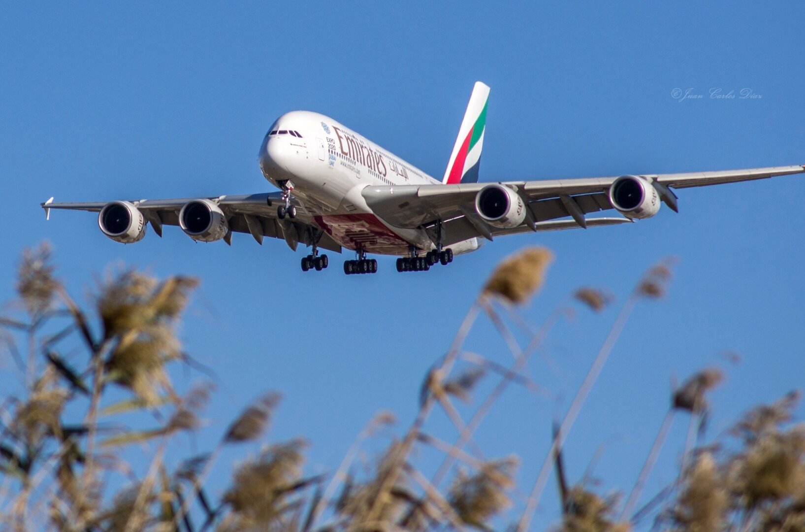 An Airbus A380 among bushes landing in Barcelona, Spain

Un Airbus A380 entre matojos aterrizando en Barcelona, España