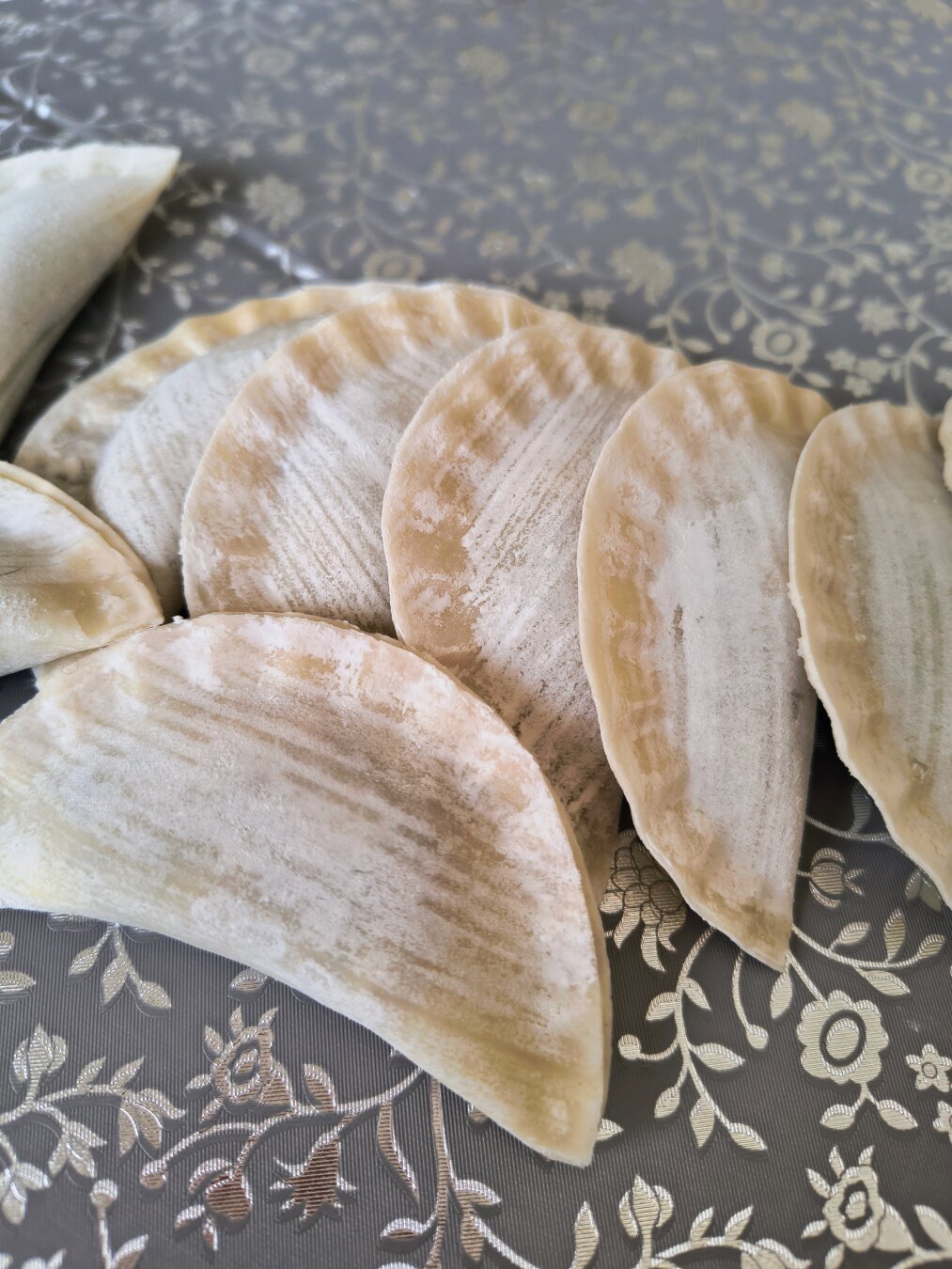 dumplings echos a mano