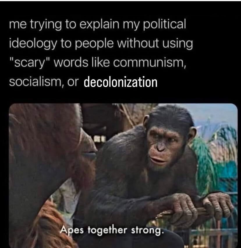 Me trying to explain my political ideology to people without using 'scary' words like communism, socialsm and decolonization:

Monkeys talking: 'Apes together strong'