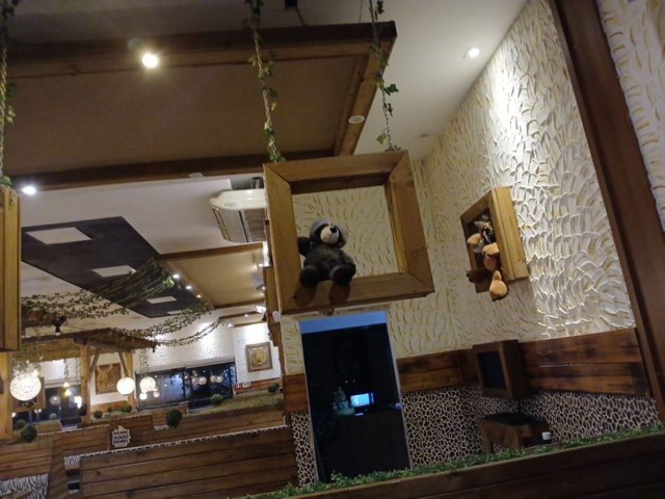 que fofo o guaxinins