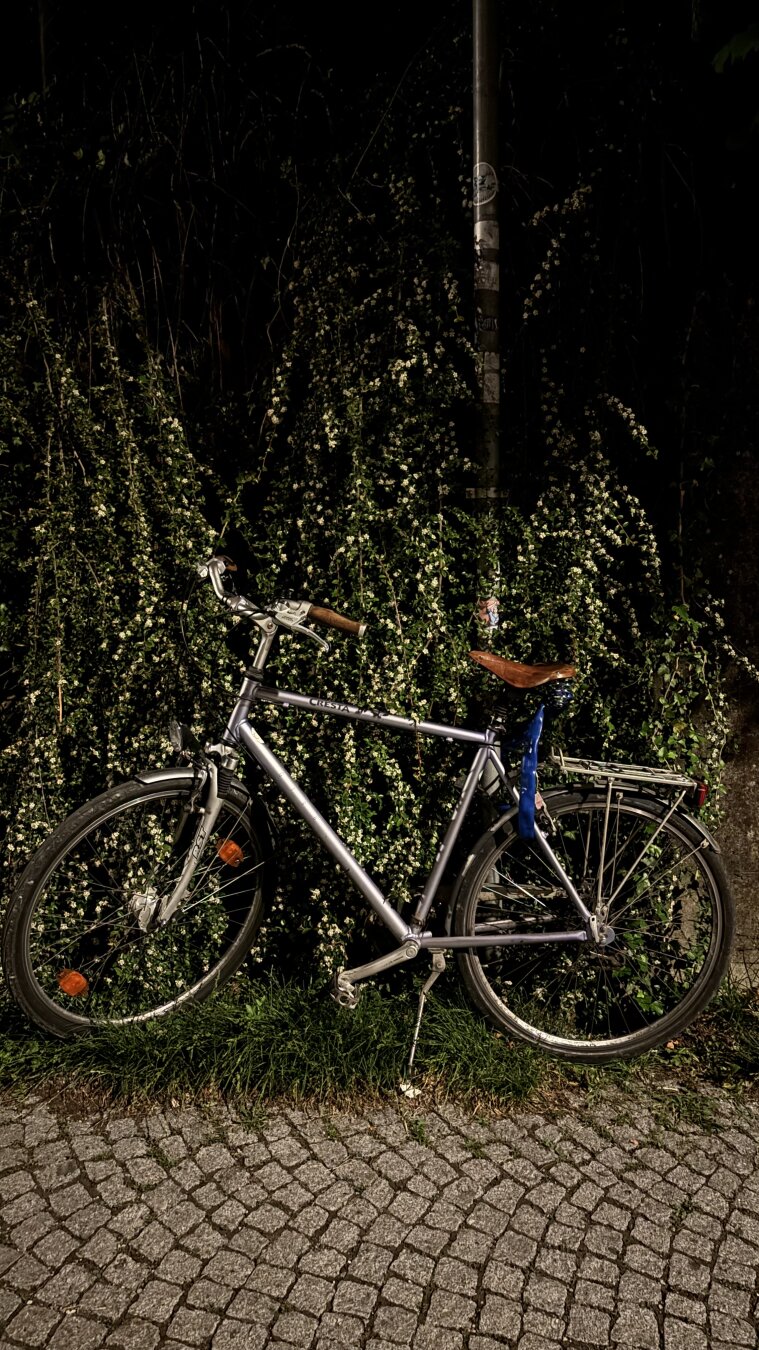 Ein Fahrrad, das an einem Laternenpfahl angelehnt ist und von einem weißblühenden Busch umrankt wird. Das Foto wurde nachts aufgenommen.