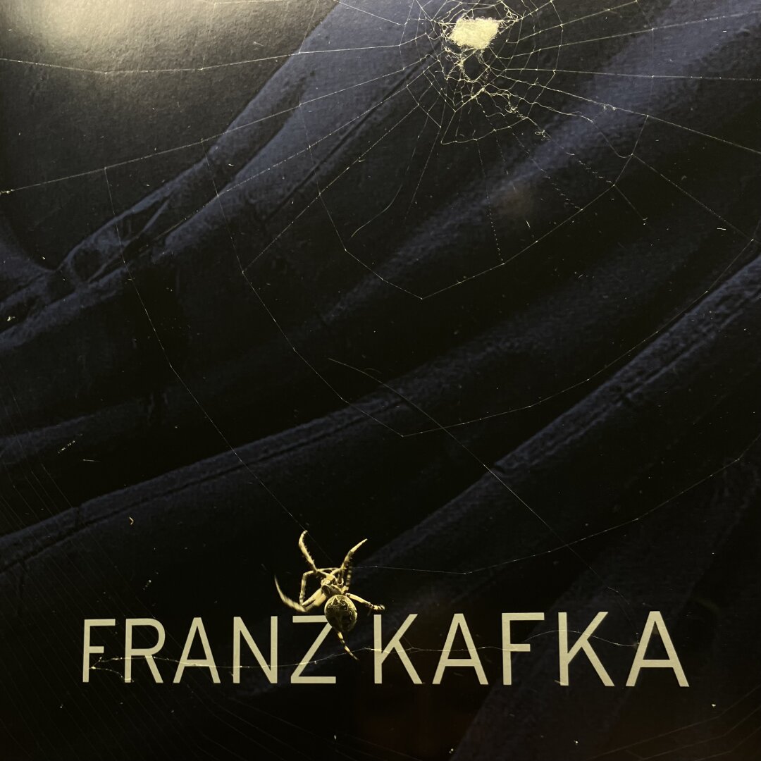 Eine Spinne webt ihr Netz vor einem Theaterplakat, der Bildausschnitt zeigt sie vor dem Namen FRANZ KAFKA, im Hintergrund sind Falten eines dunklen Stoffes zu sehen
