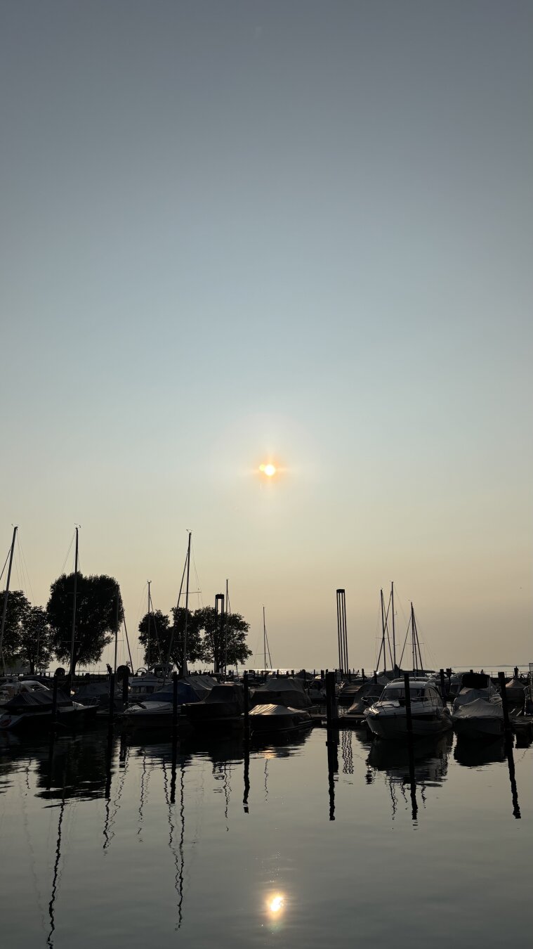 Bregenz Hafen im beginnenden Sonnenuntergang. Schatten von Segelbooten treten dunkel vor der tief stehenden Sonne und dem hellen Bodensee hervor.