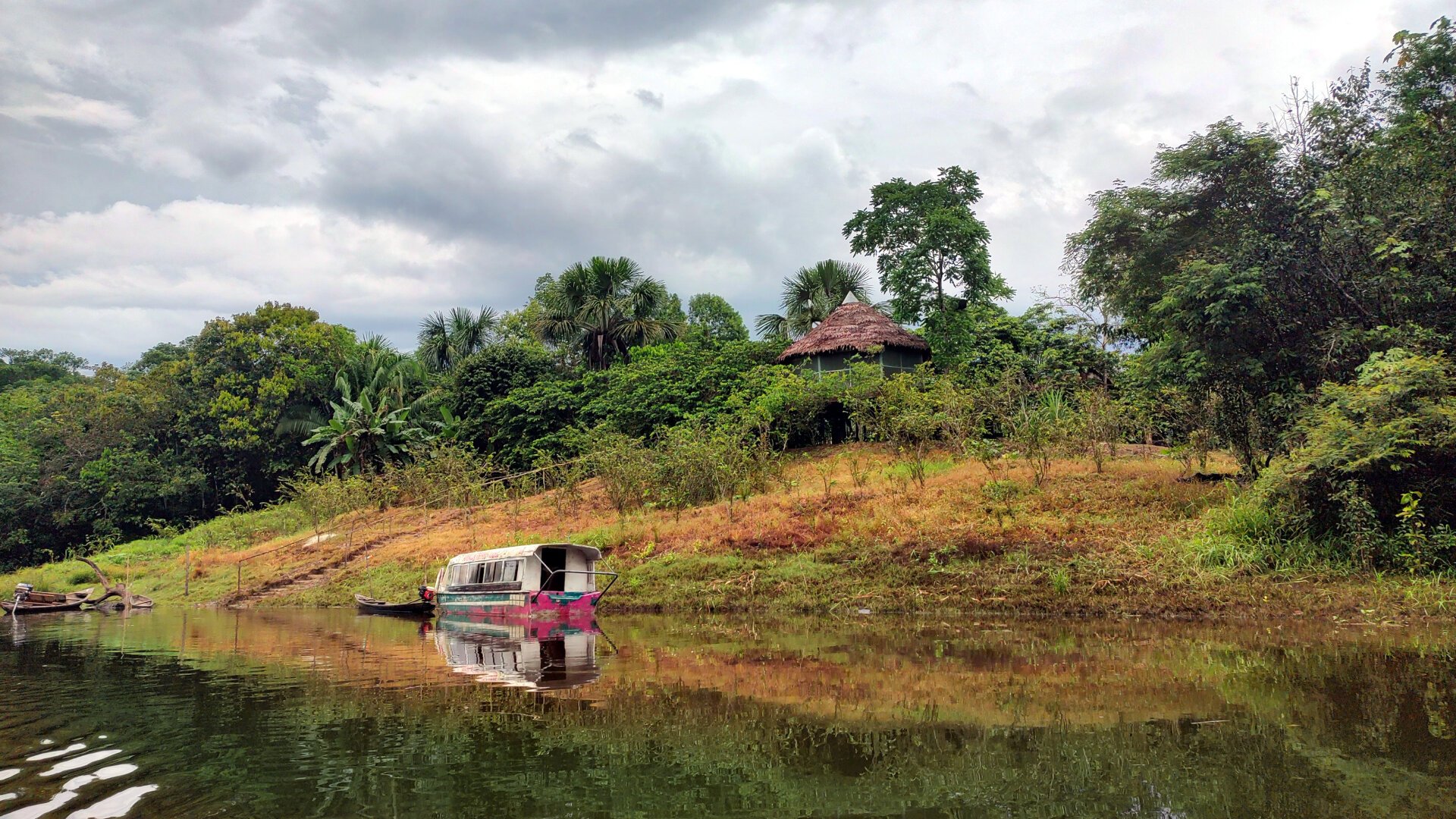 A long shot of the lodge grounds as seen from the river. The bank rises several metres above river level. Stairs lead up from a landing site to the edge of the jungle. The conical palm leaf roof of the hammock cabin protrudes from the first green bushes at the edge of the forest.