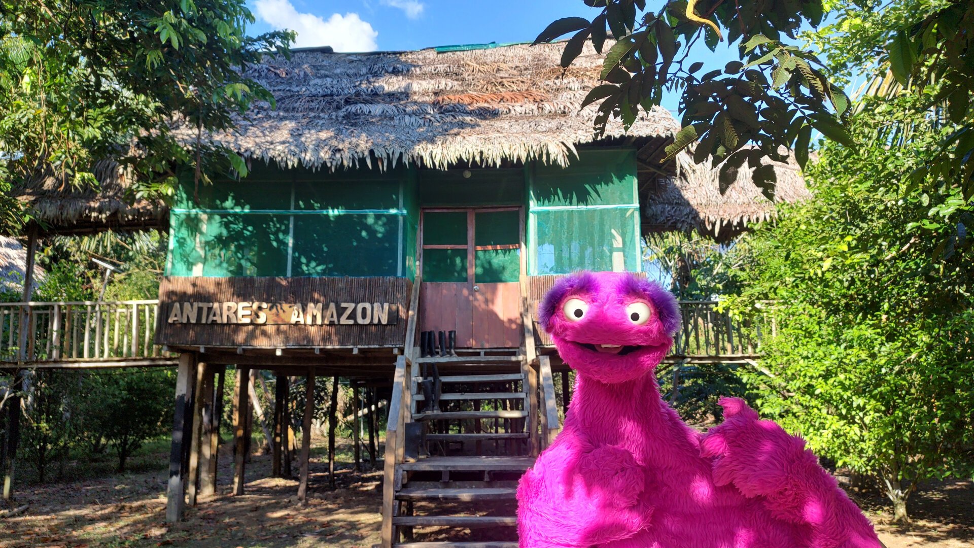 Garstl with his pink shaggy fur stands in front of a simple wooden cabin built high on posts. Stairs lead up to the front door. Next to it is the lettering ‘Antares Amazon’ in large letters.