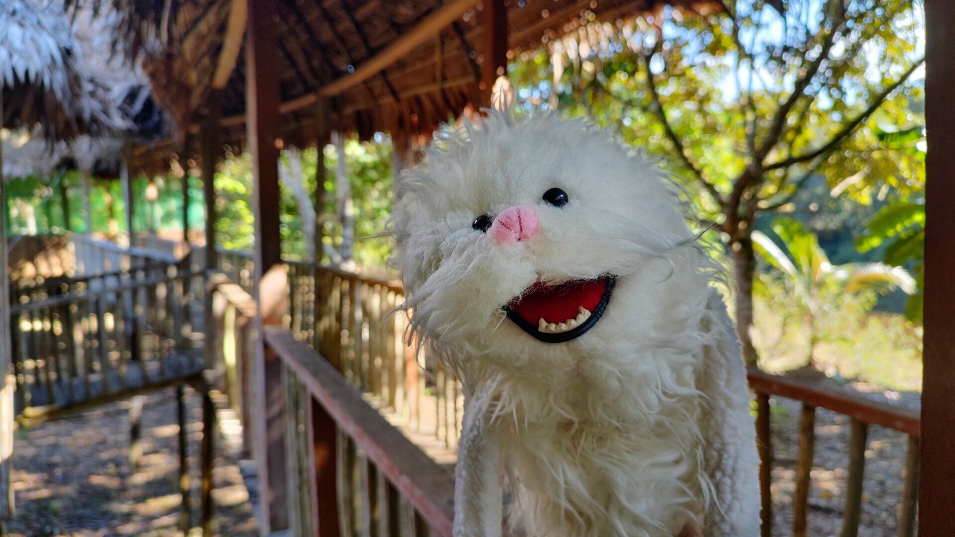 Adda, a small, fluffy creature with white fur stands on a covered walkway made of wood, which branches out in different directions in the depth of the picture.