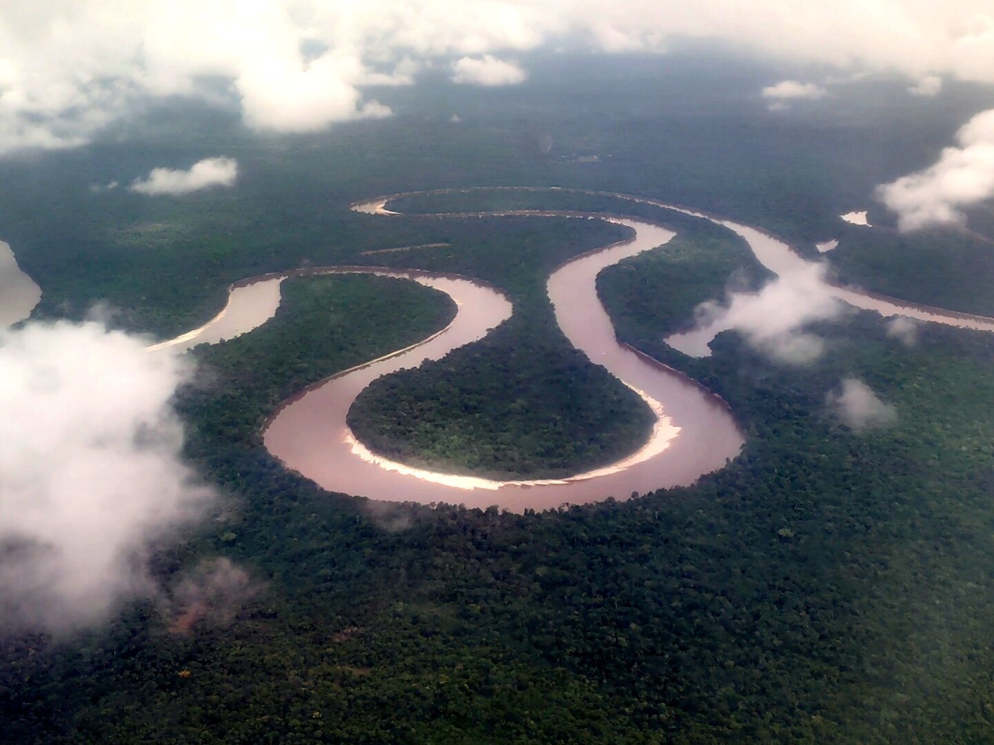 A shot from an aeroplane window: deep dark green jungle down to the horizon. A wide, brown river meanders in narrow loops through the dense green. You can recognise some clouds.