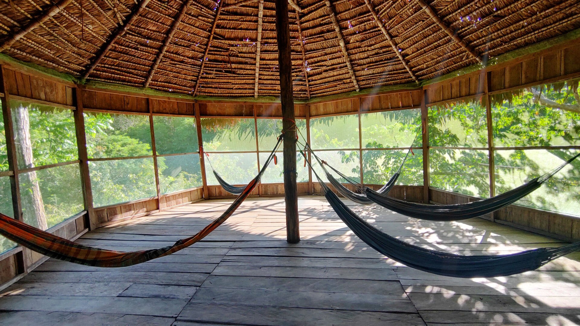 A wide shot of the interior of the sun-flooded hammock cabin. The room is almost round. A central pillar supports the top of the conical palm leaf roof. The outer walls are simply wooden beams with mosquito nets in between, so that the room appears completely open. Several hammocks are attached to the central pillar, the other ends of the hammocks are tied to the outer beams.