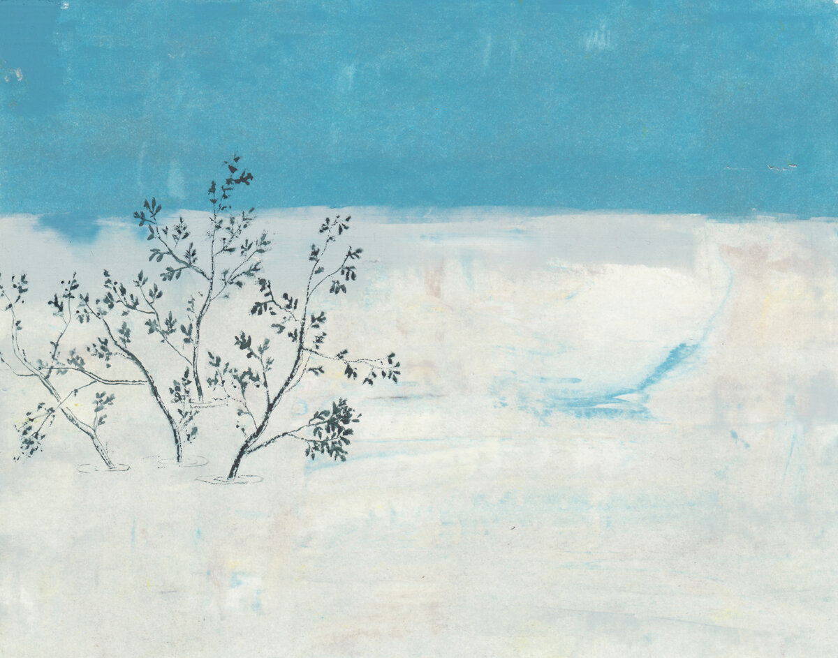 arbre sortant du brouillard, le ciel bleu au-dessus