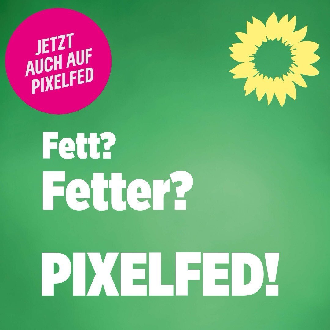 Ein Sharepic der Grünen, das auf Instagram gekostet wurde. Eine grüne Kachel mit der Sonnenblume der Grünen oben rechts und einem roten Störer oben links mit dem Text 