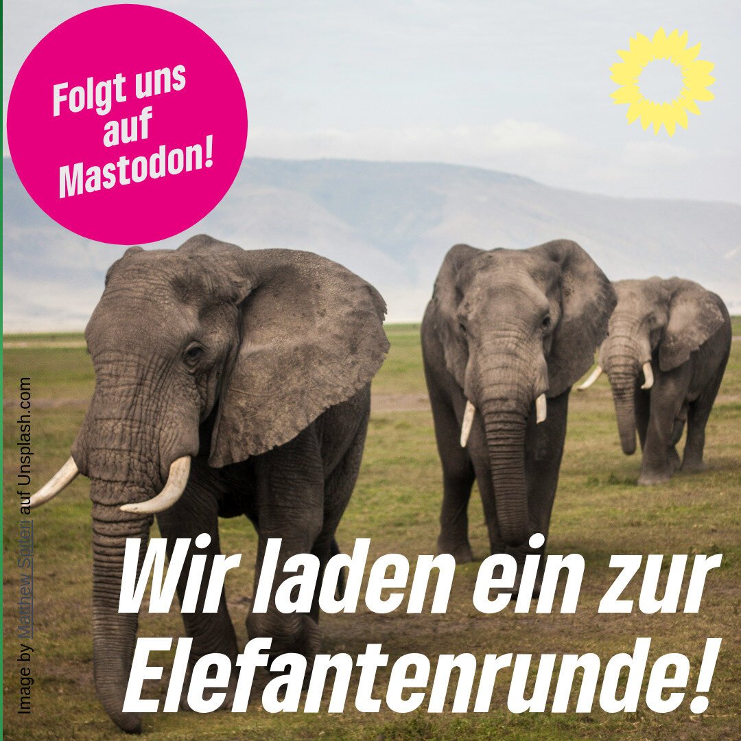 Ein Sharepic der Grünen. Man sieht drei Elefanten in der Steppe. Oben rechts ist die gelbe Sonnenblume der Grünen, oben links eine pinker Störer mit dem weißen Text 