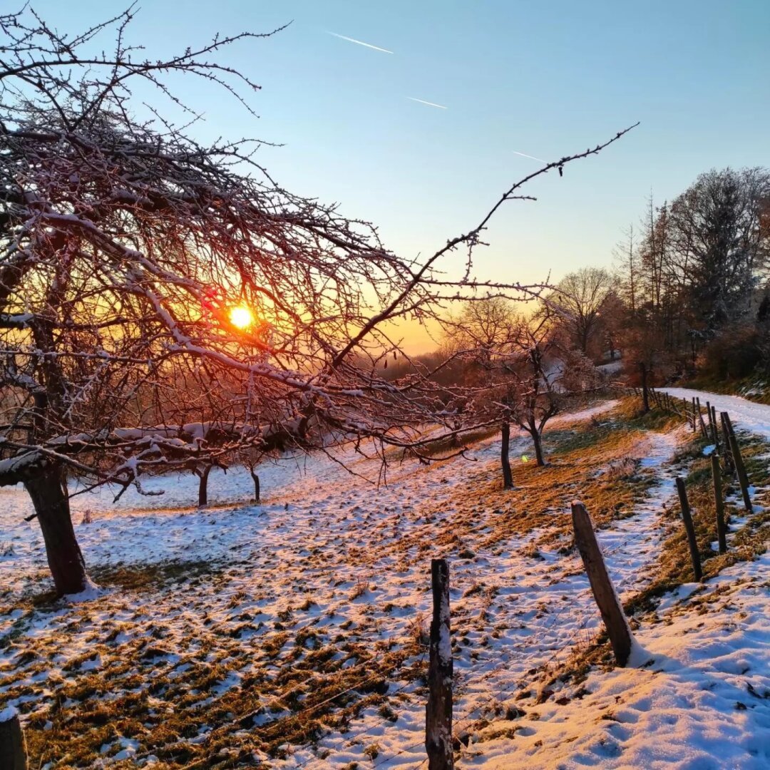 Winter landscape at sunset