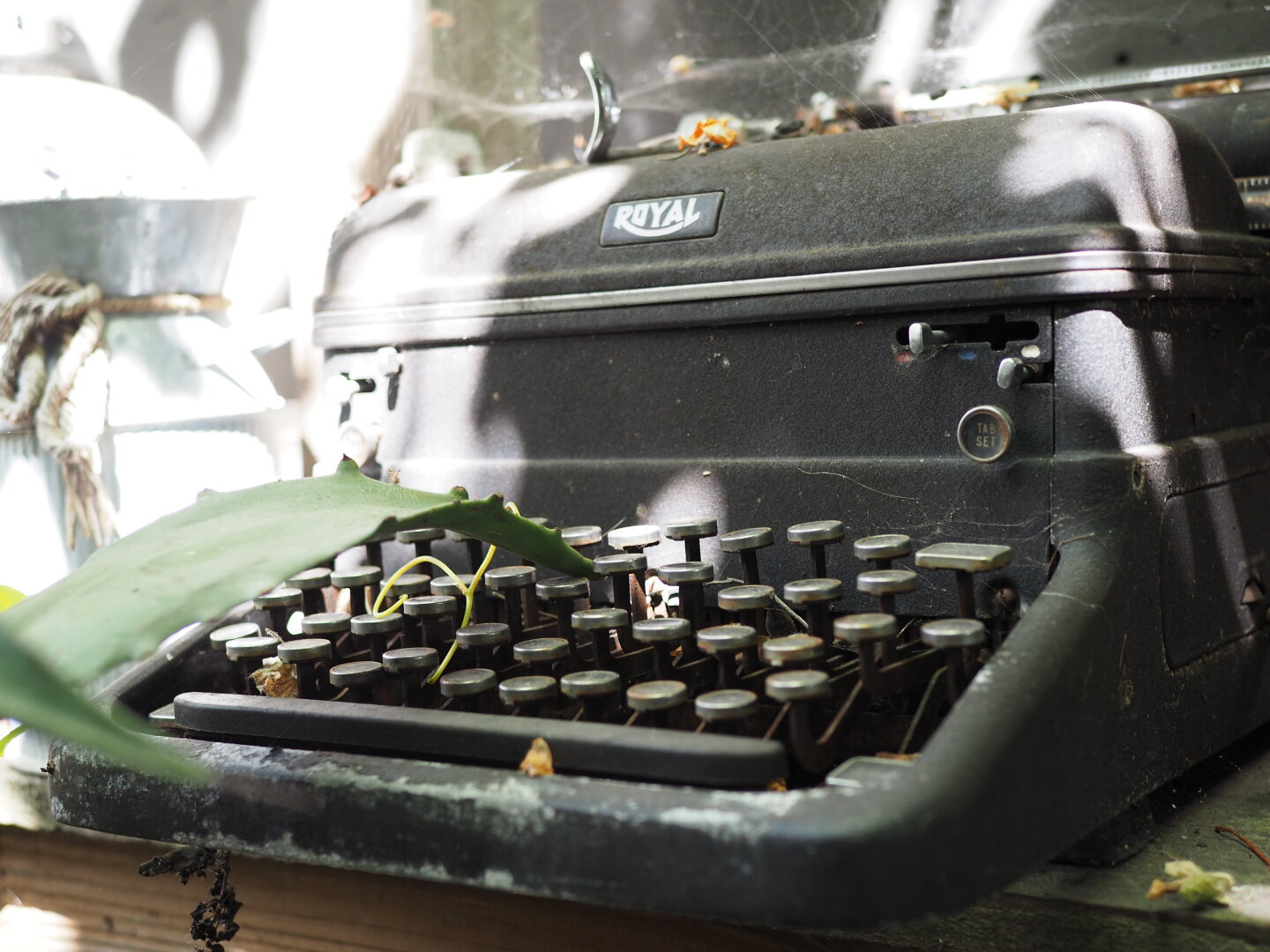 An old Royal typewriter, outdoors in dappled shade covered in dust and cobwebs. There is a light green seedling popping up through the keyboard.