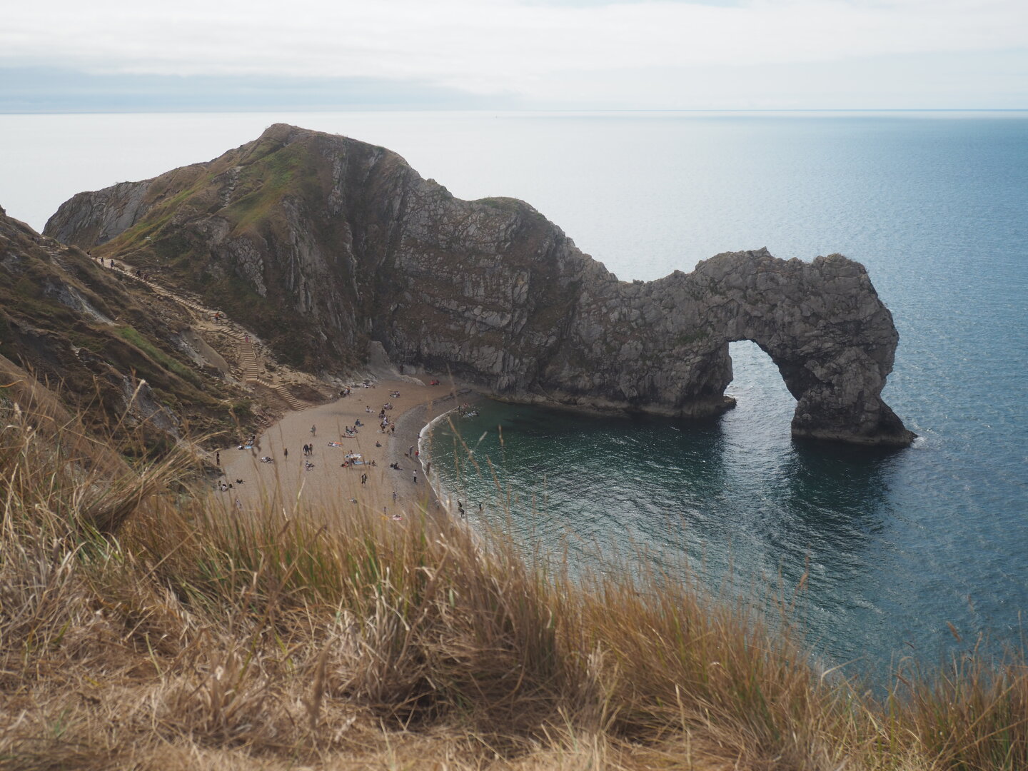 A photo of a rocky outcrop into the ocean with a large arch. There is a sweep of beach in front of it with swimmers. It is taken from a high vantage point on a bluff, with dry grass in the foreground
