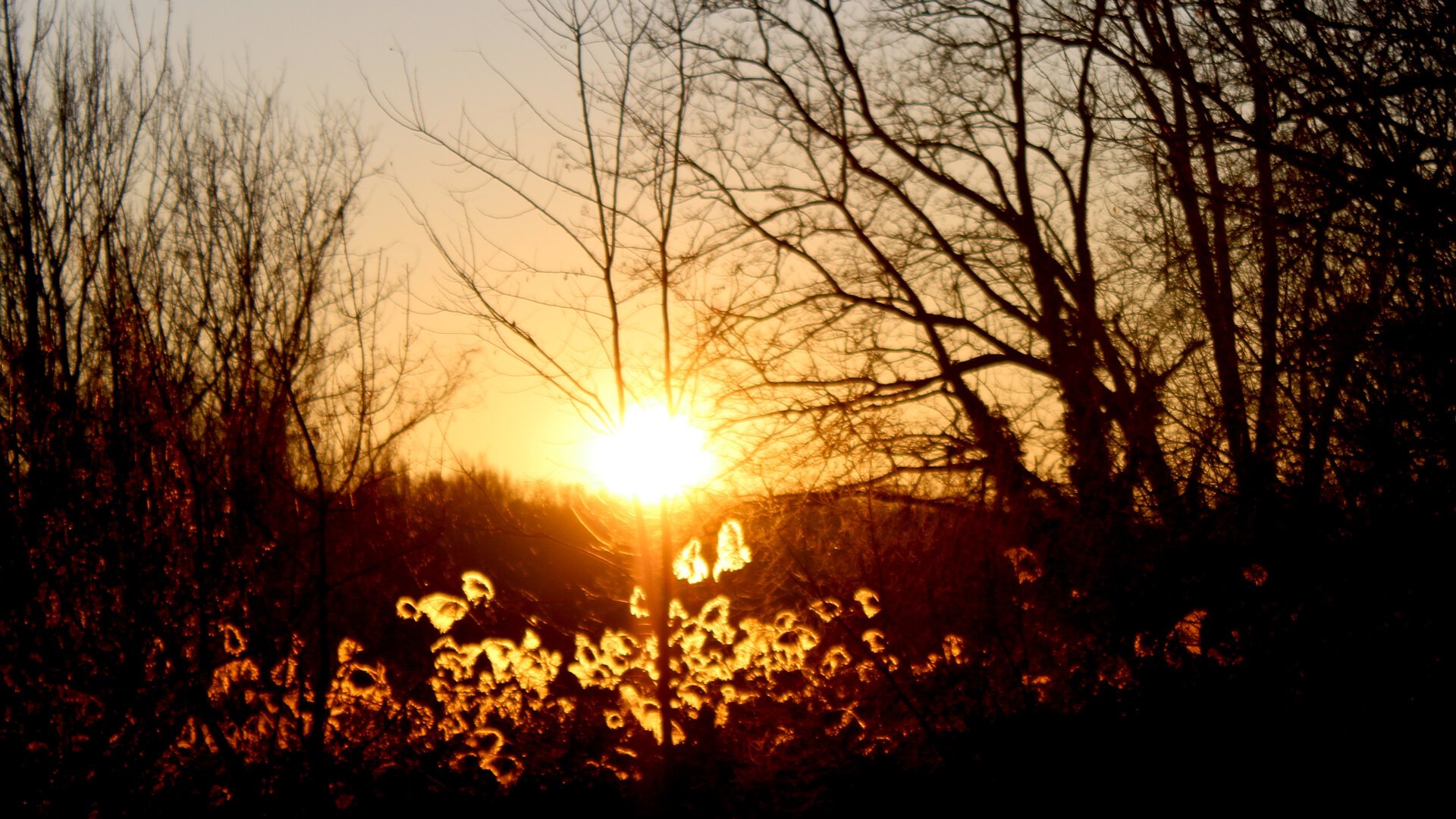 Coucher de soleil derrière des arbres
Couleurs, format 16/9