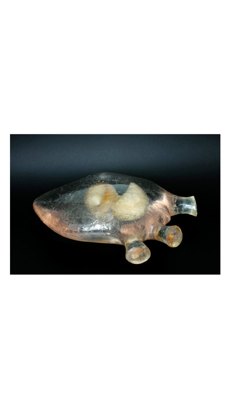 First Governor, Resin and sugar, 20 x 25 x 45 cm.
First Governor is a transparent heart made of cast resin containing a prosthesis made of sugar. The shape of the prosthesis is derived from a part of a steam engine(the Governor) that ensures the machine does not run too fast or too slow, the sugar also energises the heart.