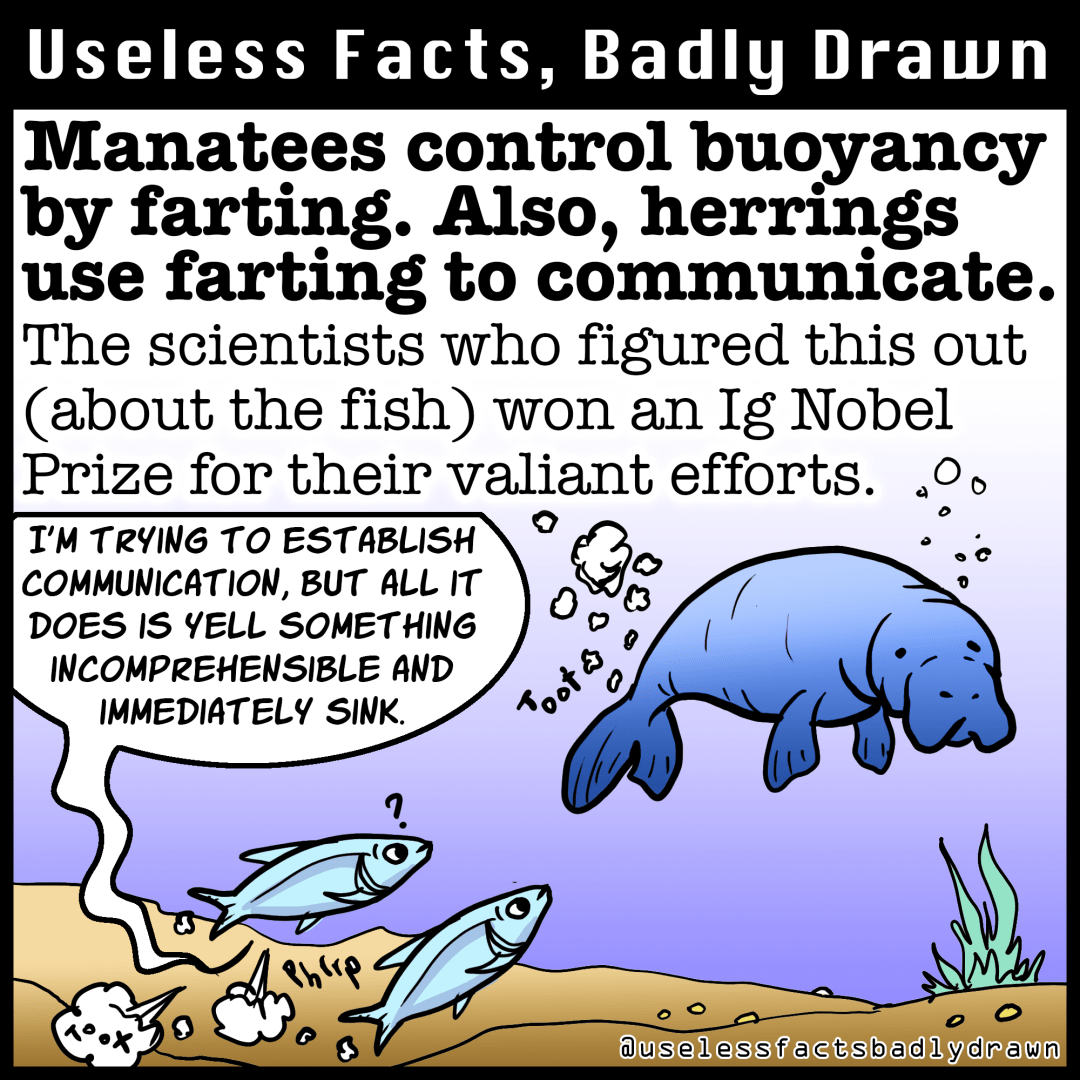 Manatees control buoyancy by farting. Also, herrings use farting to communicate.
The scientists who figured this out (about the fish) won an Ig Nobel Prize for their valiant efforts.