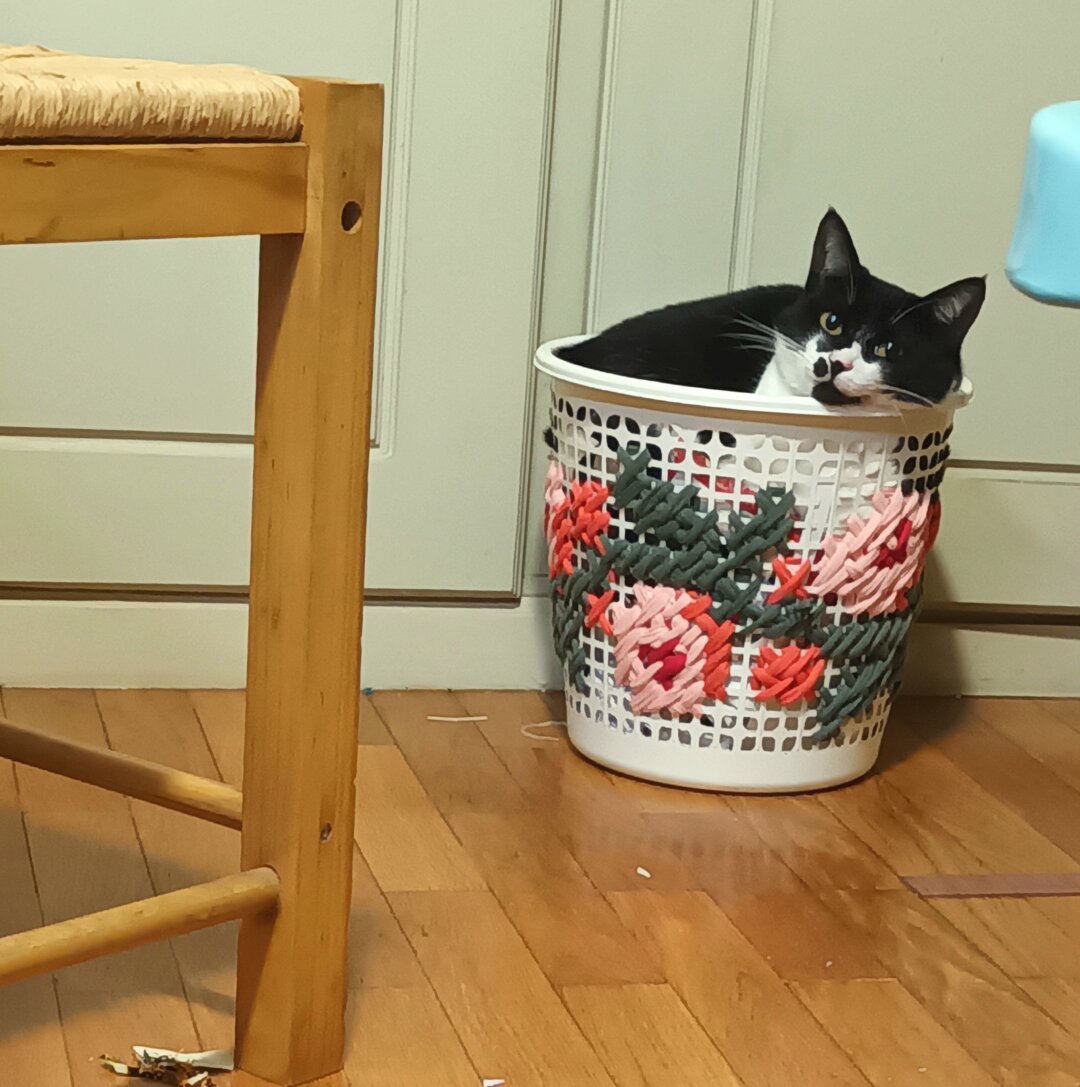 A cat sleeping on an upcycled paper basket