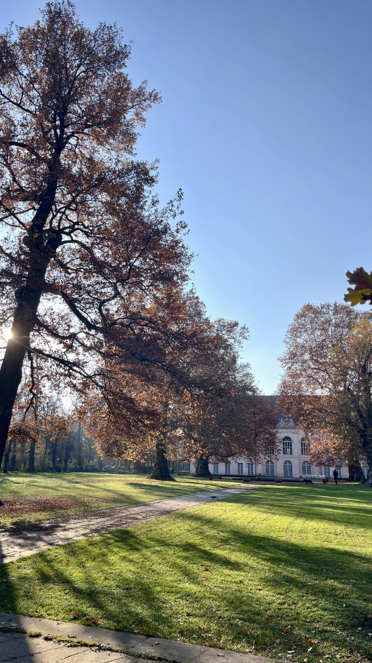 Sunlight through autumn trees in a park with Schloss Niederschönhausen in the background.