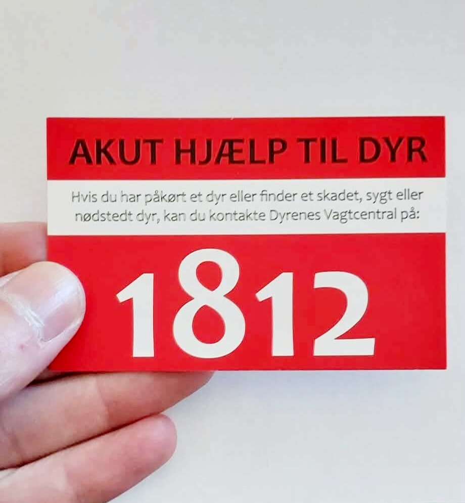 Ikke noget stort eller flashy, men et lille, enkelt og funktionelt kort vi har lavet i Dyrenes Venner til at have med i tegnebogen. #dyrenesvenner #1812 #dyrinød