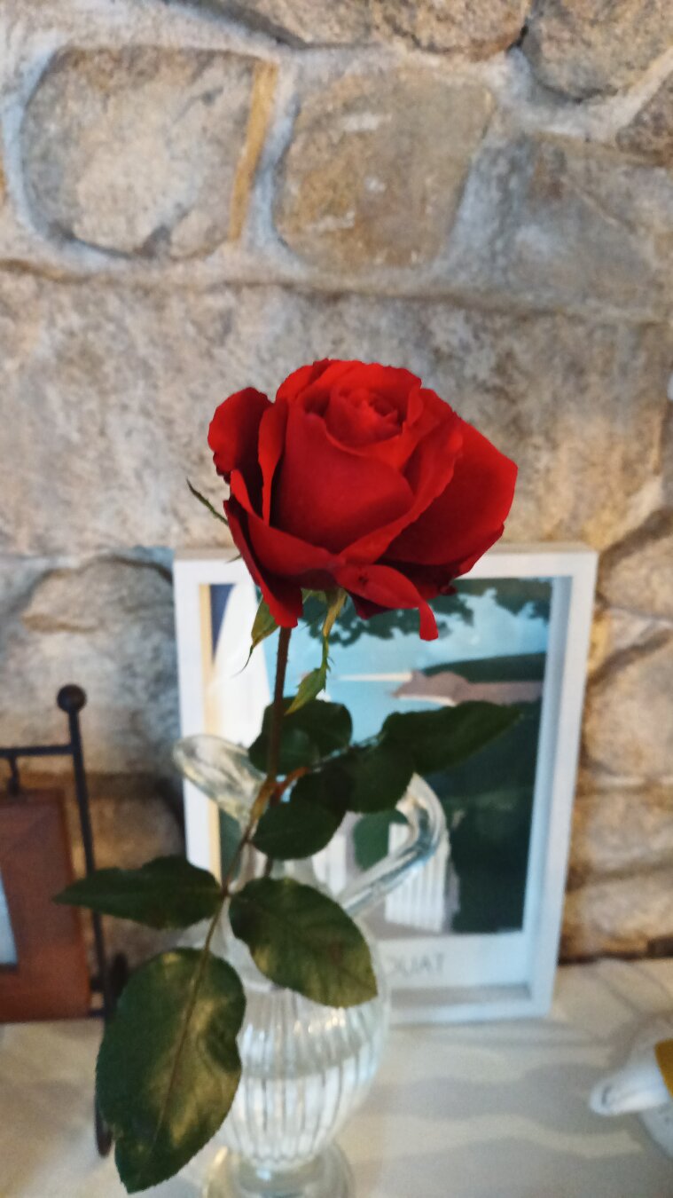 une rose dans un vase devant un mur en pierre