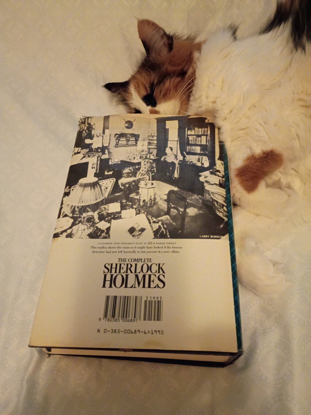Long-haired calico cat sleeping on her right side with her nose pressed against the top of a copy of The Complete Sherlock Holmes