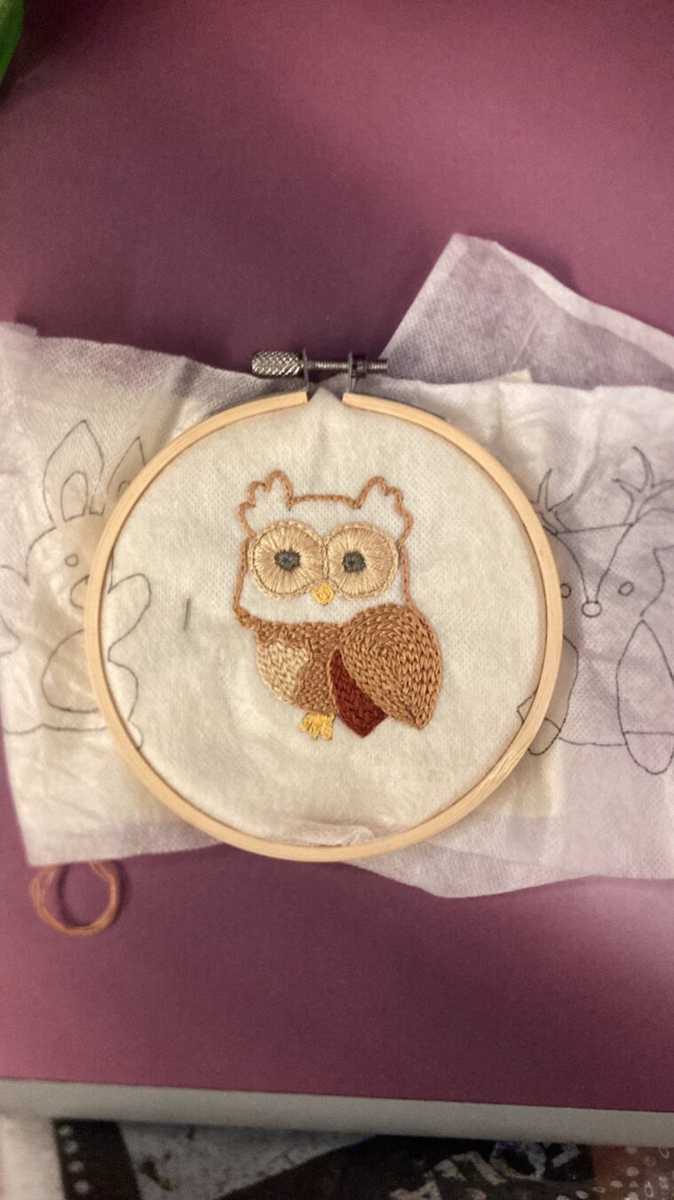 La même chouette dans un état un peu plus avancé, toujours posée sur la tablette de TGV, mais cette fois sans bazar autour. Ses yeux sont beiges et gris au centre, son ventre est beige, son aile et son corps sont marrons et une partie sous l’aile est marron-rouge.