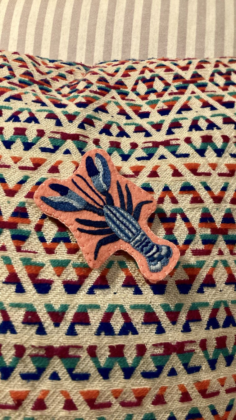 Le même homard posé sur le coussin bariolé