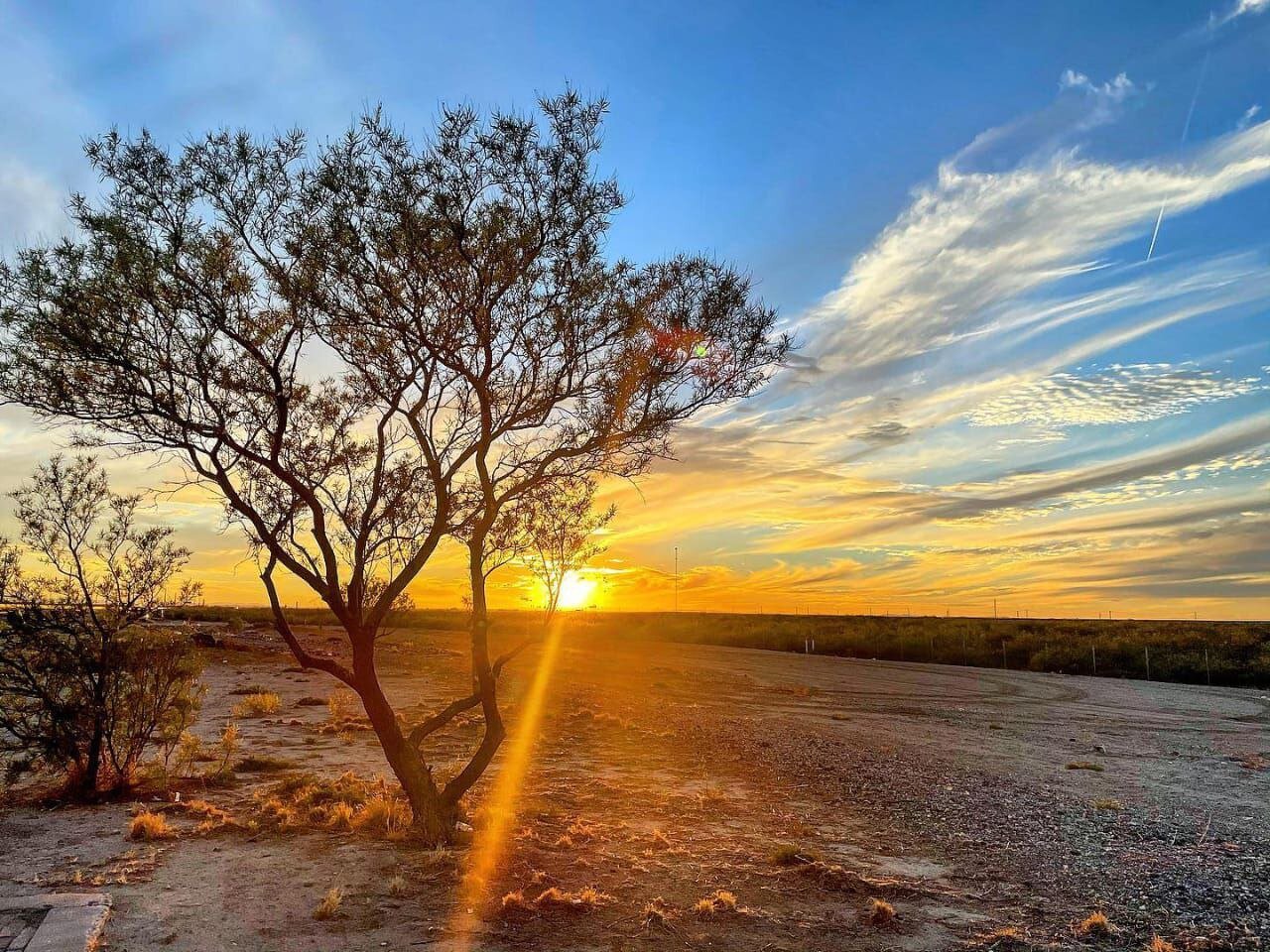 If Fievel can go west, so can I. 🚙