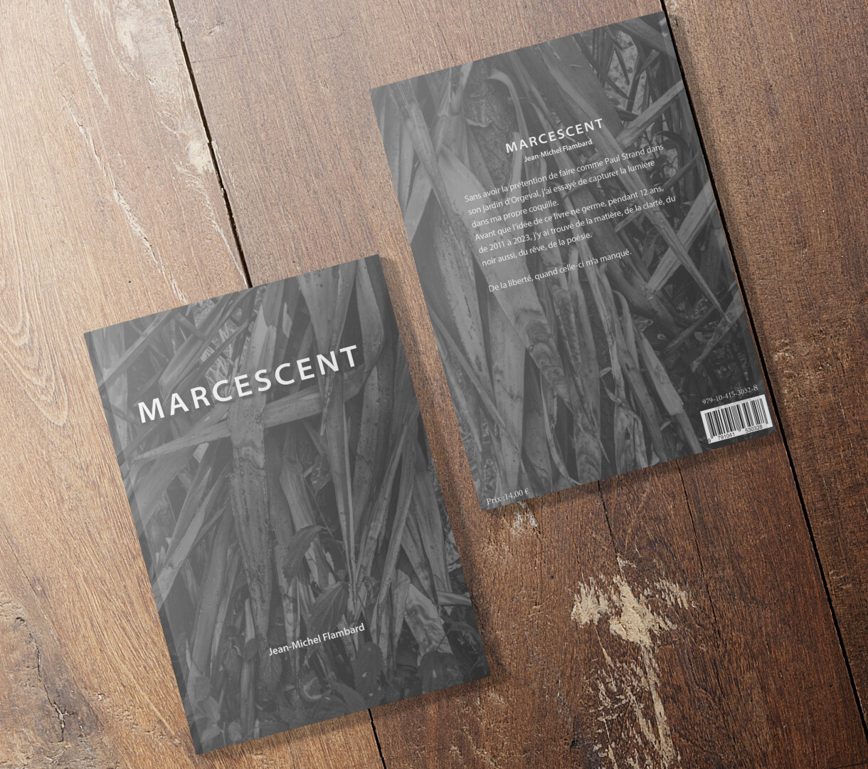 1ere et 4eme de couverture du livre Marcescent de Jean-Michel Flambard
