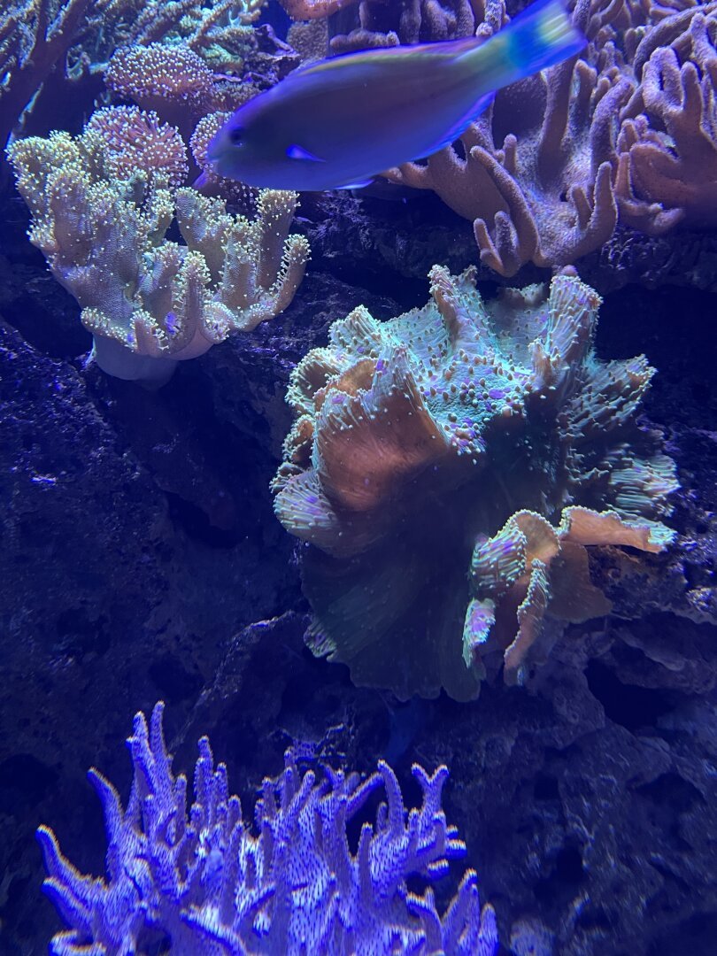 Photo was not tagged with any alt text.