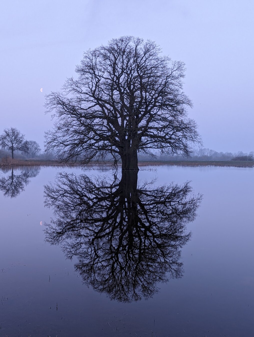 A very special morning 🌞