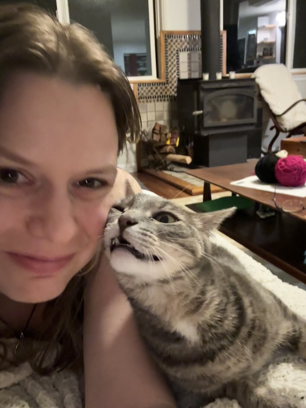 White woman with dark blonde hair has silver gray tabby rubbing its face on woman’s cheek. Fireplace in background.