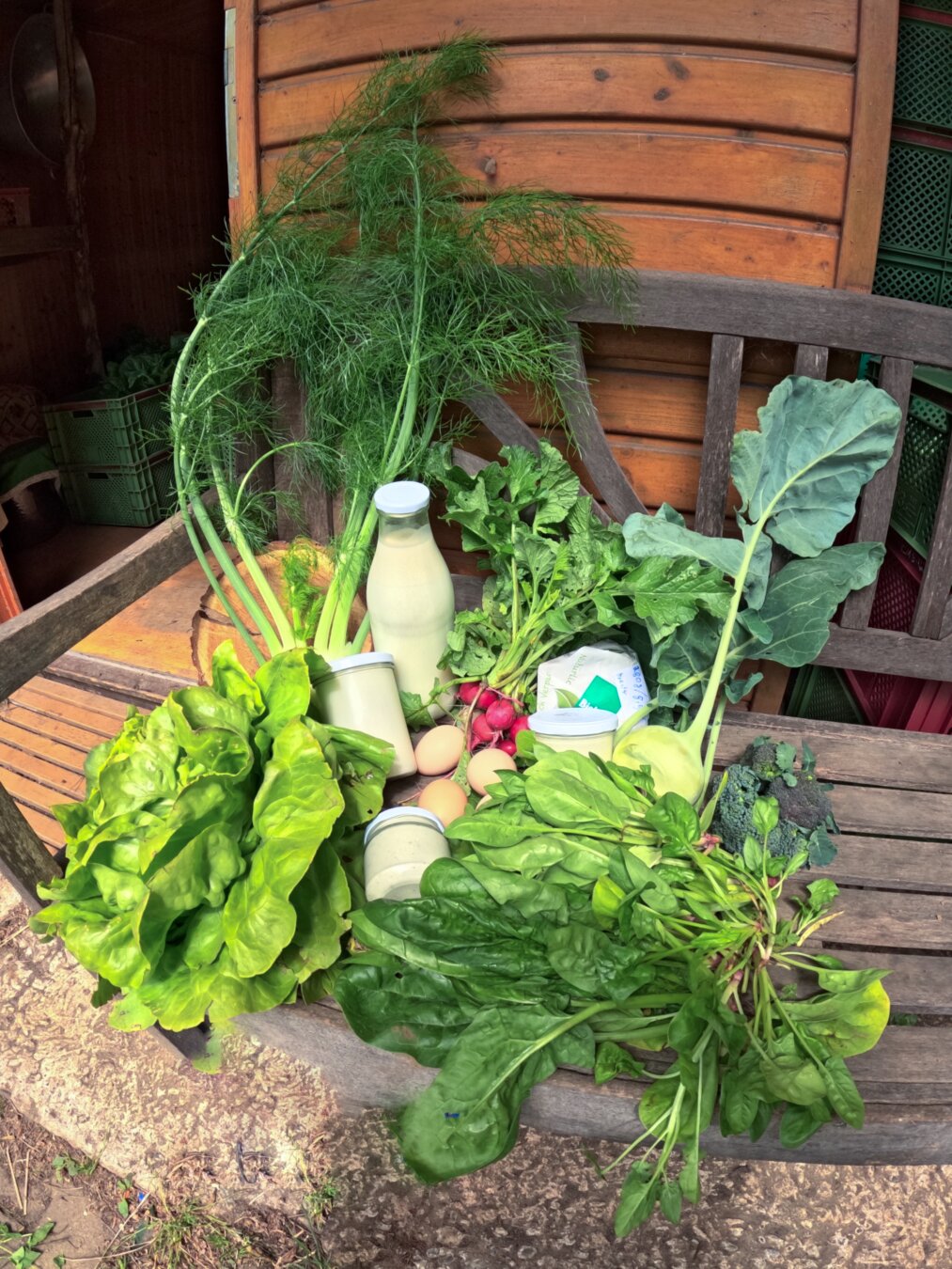 Saisonaler Ernteanteil mit Fenchel, Salat, Spinat, … und verschiedenen Milchprodukten auf einer Holzbank vor einer Holzhütte