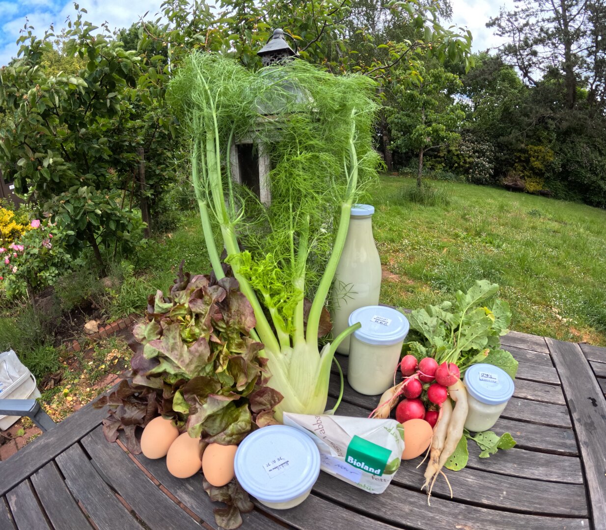 Saisonaler Ernteanteil mit Radieschen, Fenchel, Salat, verschiedenen Milchprodukten und Eiern