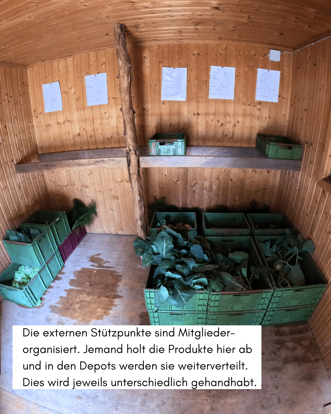 Holzhütte mit gepackten Gemüsekisten