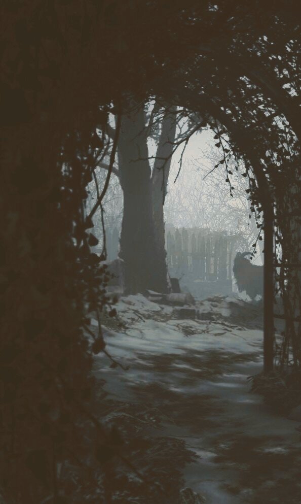 edited screenshot from a wonderfully foggy area; captured on PS5