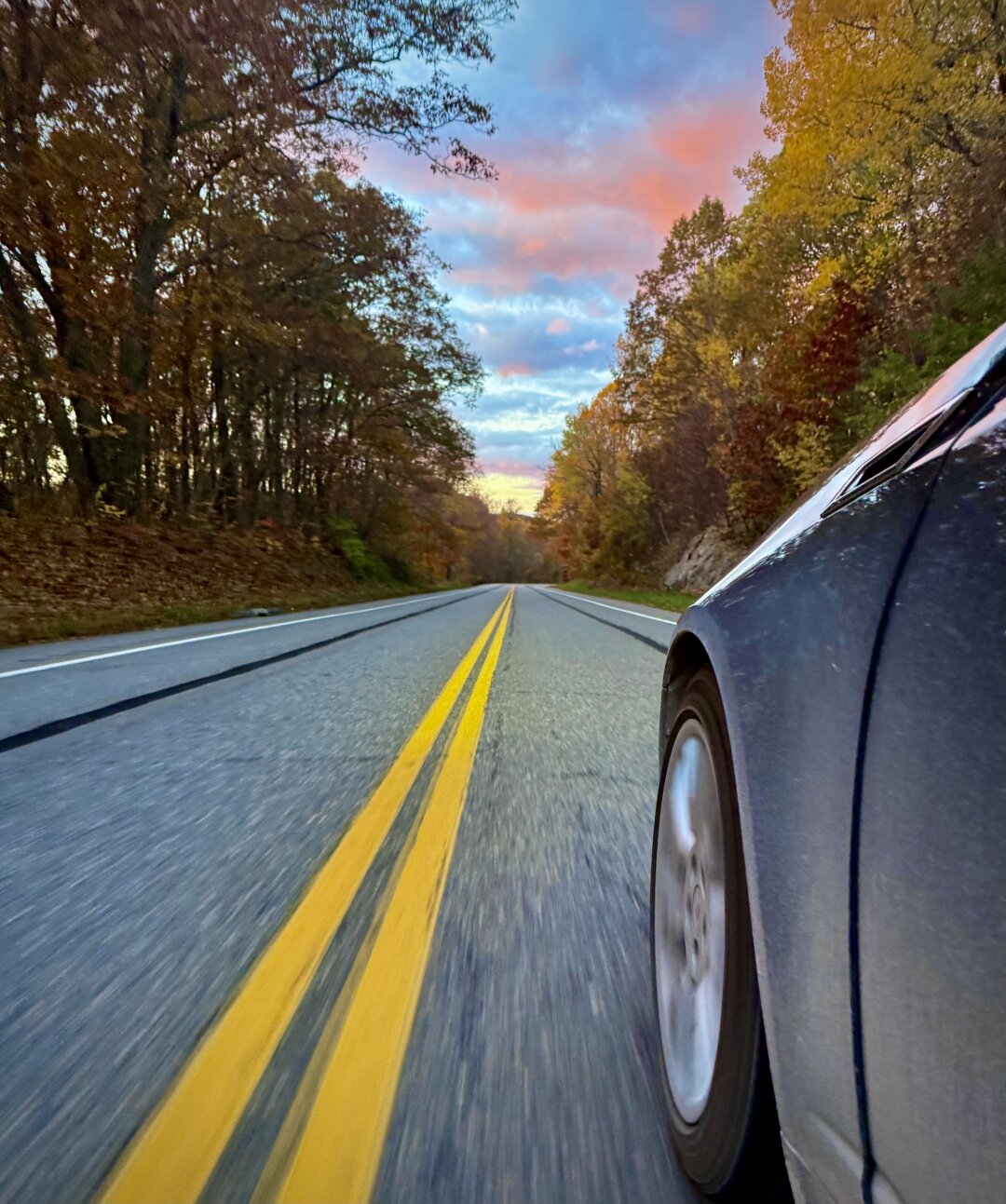 Sorry, no caption provided by author