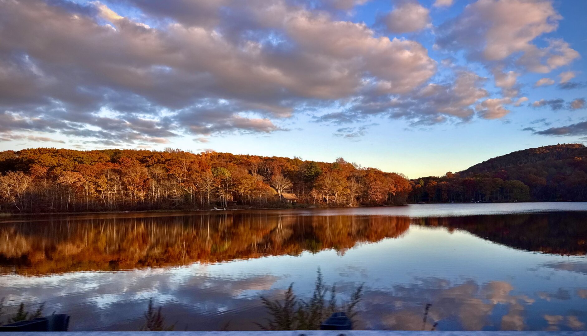 Sorry, no caption provided by author