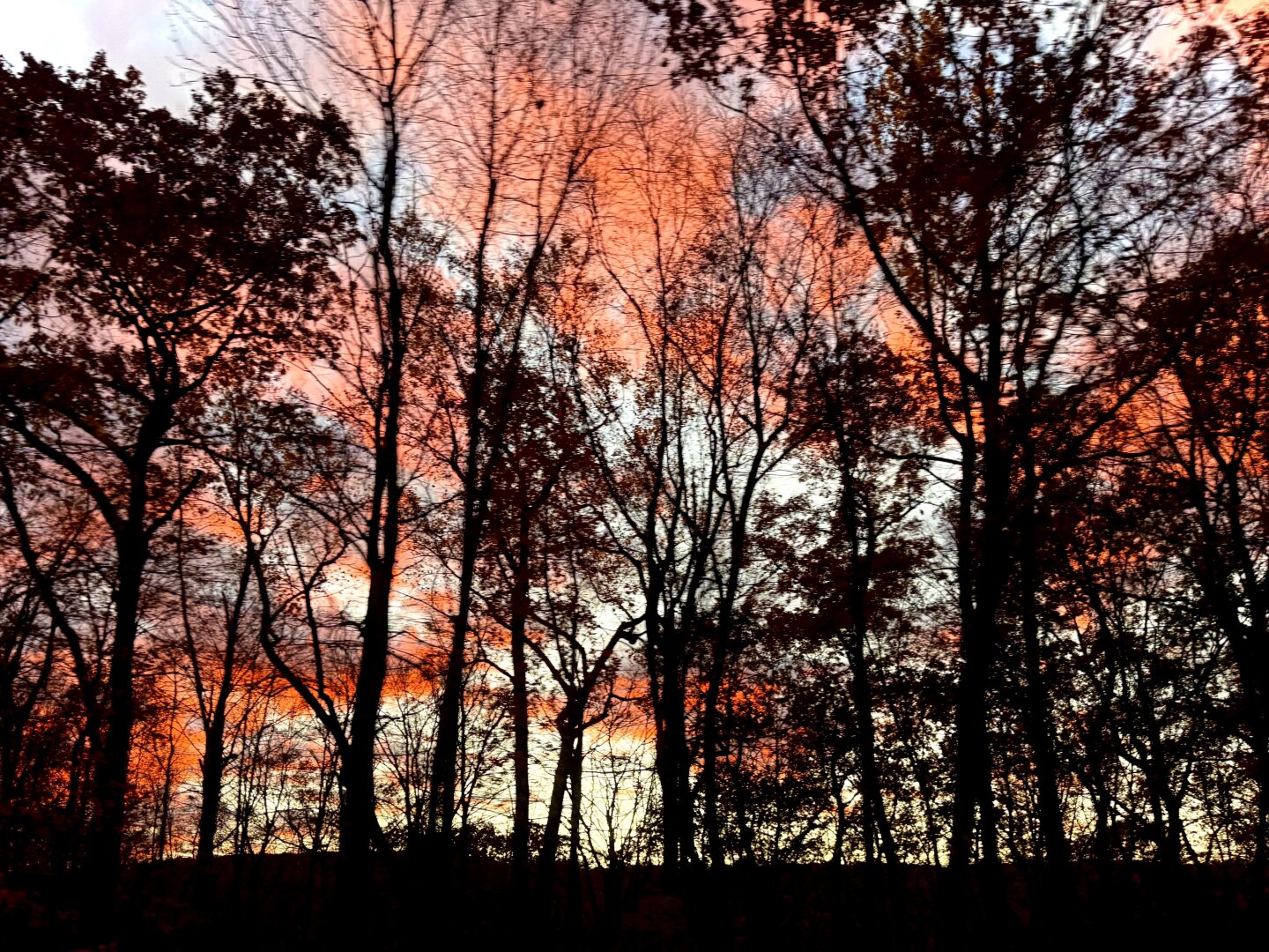 Sorry, no caption provided by author