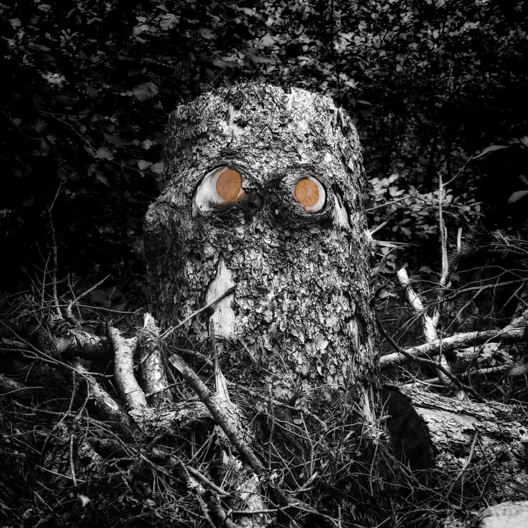 Ein verwitterter Baumstumpf ragt im Zentrum der quadratischen Komposition empor und erinnert durch zwei kreisrunde, orangefarbene Astabschnitte an ein Gesicht mit grossen Augen. Diese hölzernen Augen leuchten als einziger farbiger Akzent in einem ansonsten kontrastreichen Schwarzweiss-Bild hervor. Am Fuss des Stumpfes häufen sich wilde, trockene Äste und Zweige, während der Hintergrund von dichtem, dunklem Laubwerk im Schatten des Walliser Waldes ausgefüllt wird. Die raue Struktur der rissigen Rinde kontrastiert stark mit den glatten Schnittflächen der Astaugen.