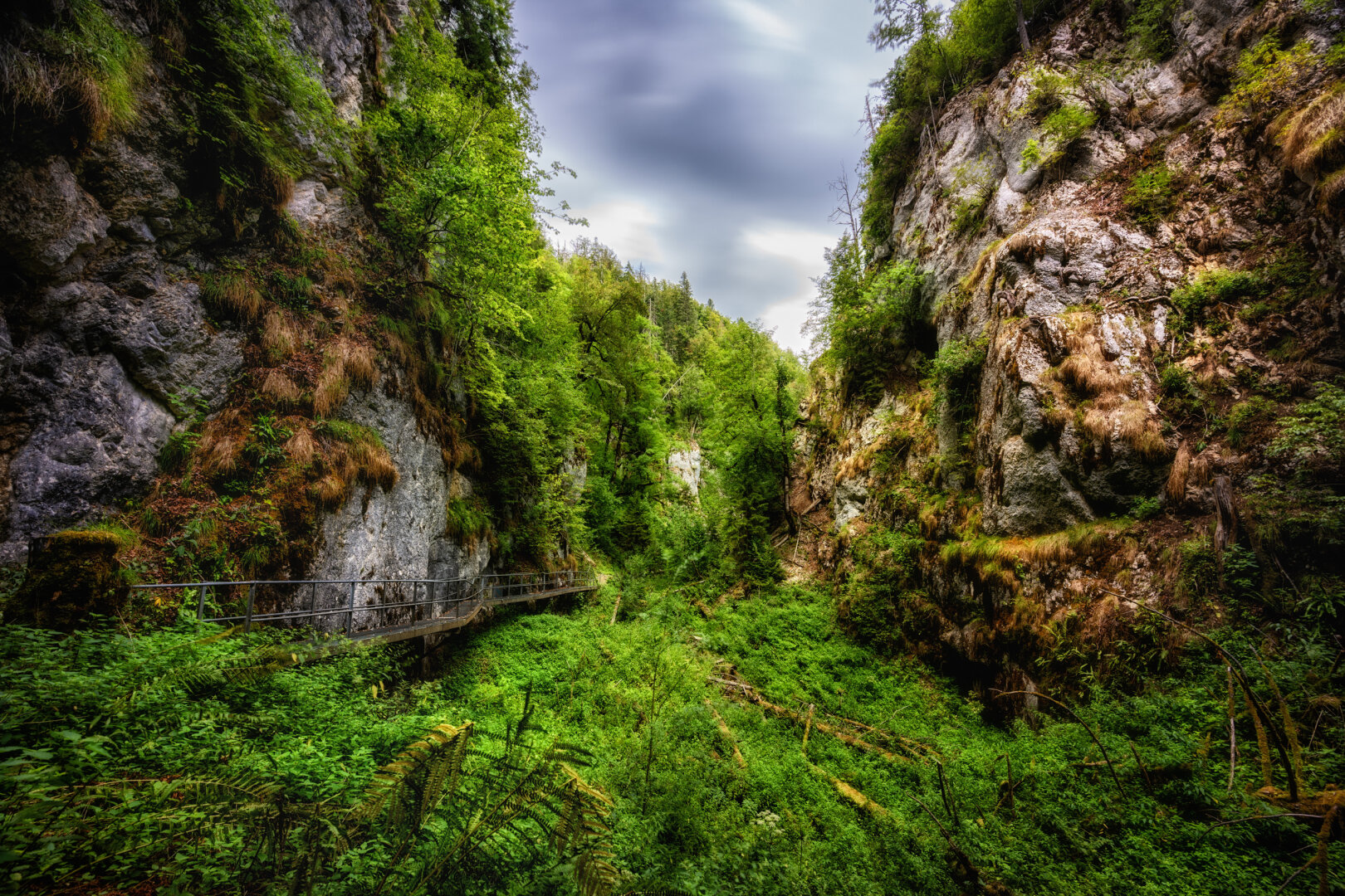 Steile, moosbedeckte Felswände ragen links und rechts empor und rahmen eine dicht bewachsene, tiefgrüne Schlucht ein. Am linken Felsen entlang führt ein schmaler Holzsteg mit Geländer tief in die unberührte Natur hinein. Am Talboden wuchern Farne und saftiges Grün, während sich am Himmel weiche, durch Langzeitbelichtung verschwommene Wolken aneinanderreihen. Das diffuse Tageslicht hebt die feinen Strukturen der Kalksteinfelsen und das intensive Grün der Blätter hervor.