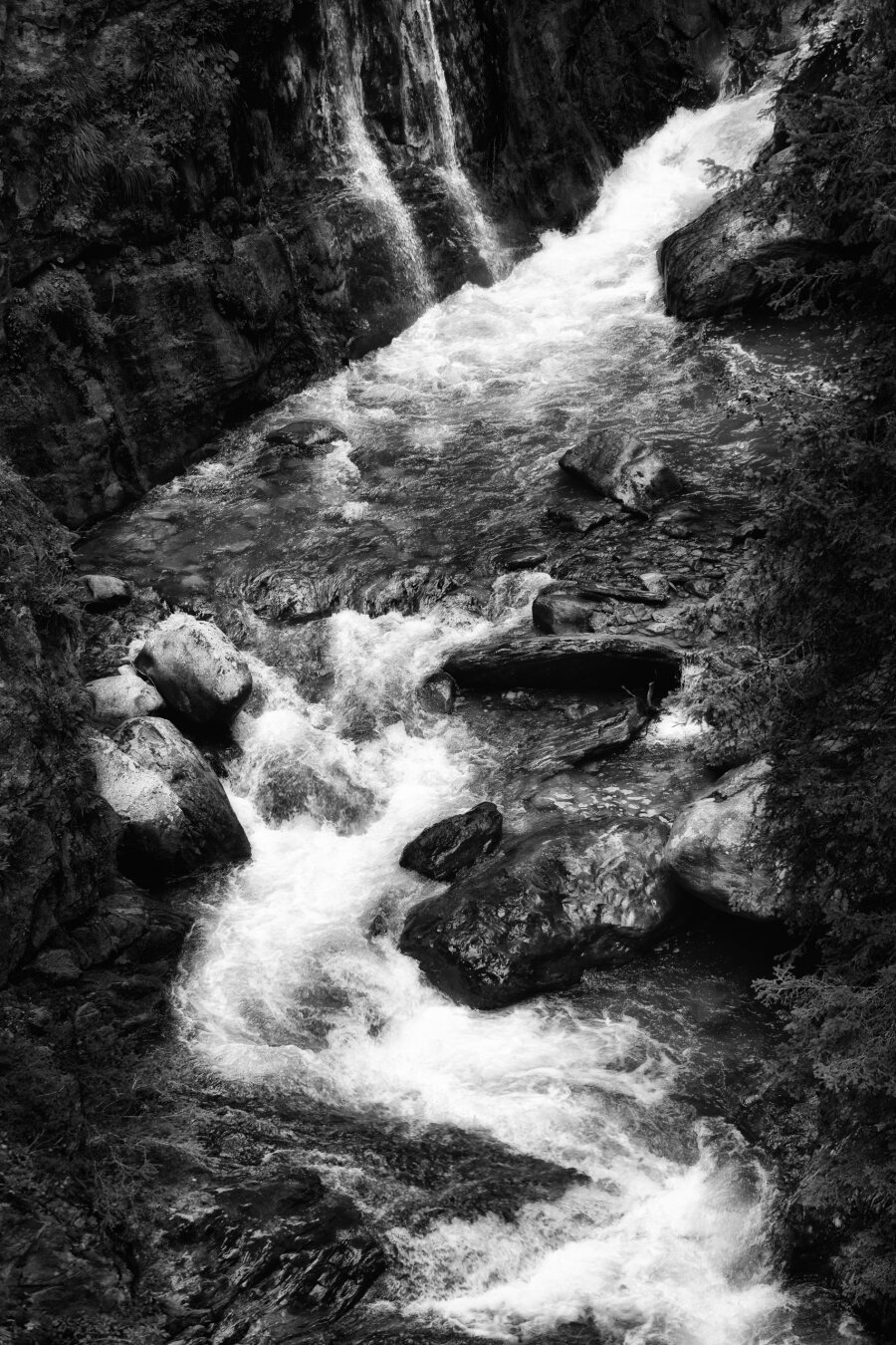 Schäumendes, weisses Wasser stürzt über dunkle, nasse Felsen und bahnt sich seinen Weg durch ein enges, steiles Flussbett. Flankiert von schroffen Felswänden und schattigen Nadelbäumen fliesst der Bergbach in dynamischen Kurven talwärts. Kleine Wasserfälle ergiessen sich von den seitlichen Klippen direkt in die reissende Strömung. Die kontrastreiche Schwarzweiss-Ausarbeitung betont die Texturen des nassen Gesteins und die Gischt des bewegten Wassers.