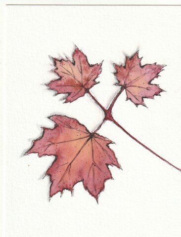 Handpainted watercolour leaves