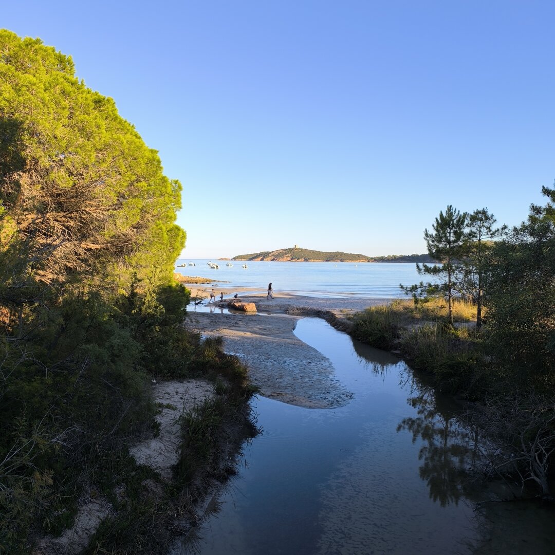 Ruisseau émissaire de l'étang de Santa Barbara à Pinareddu