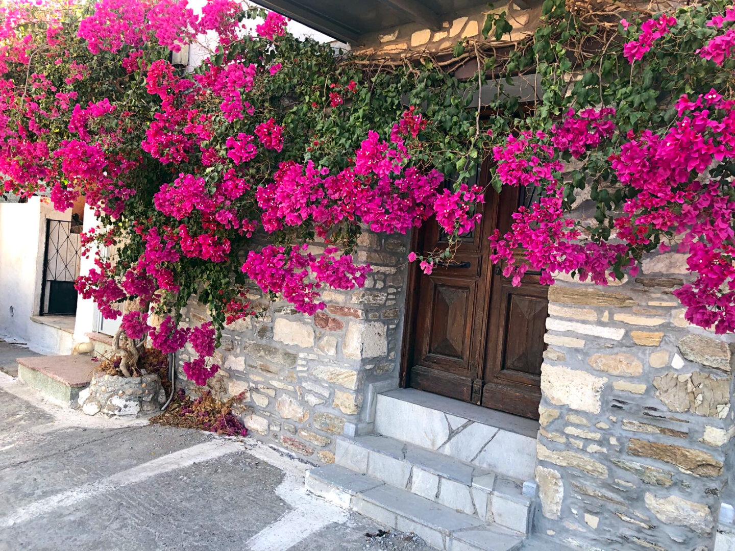 Ein mit verschiedenen Steinen gemauerte Vorderfront eines Hauses-
Eine Eingangstür aus Holz und drei Stufen davor
Darüber rankt ein pinkes Blütenmeer So schön dieses rankende Blütenmeer (Bougainvillea)

The front of a house built with different types of stone
A wooden front door with three steps in front of it
Above it, a sea of pink flowers climbs up the wall So beautiful, this sea of climbing flowers (Bougainvillea)