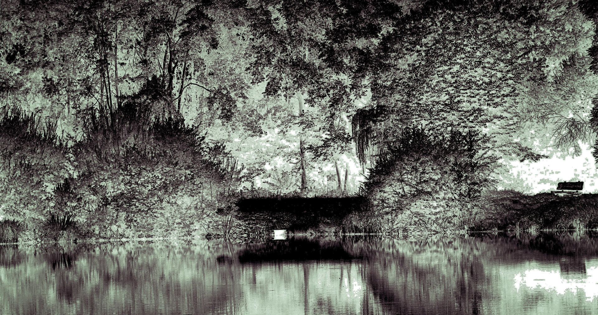 Lowkey Fotografie
Bäume und Büsche am See
Die Farben der Szenerie sind in schwarz, grau und helles grau

Lowkey photography
Trees and bushes by the lake
The colours of the scenery are black, grey and light grey.