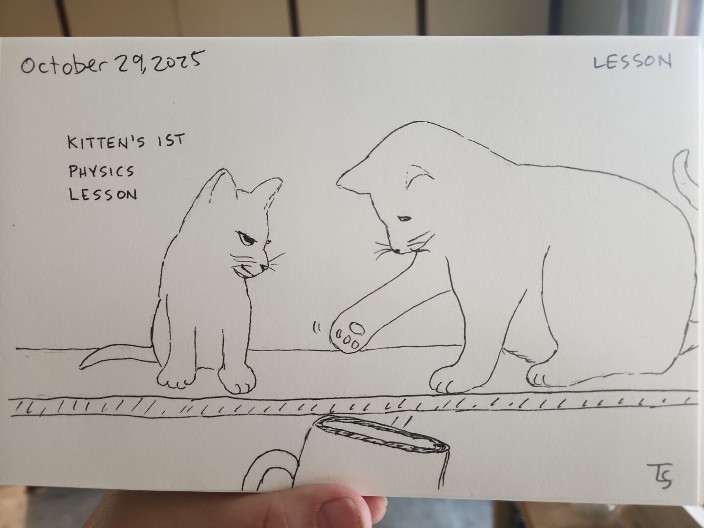 Pen sketch of a kitten and a cat sitting on a shelf. The kitten is looking down as a mug falls off the shelf while the cat is posed with its paw outstretched as if it had just knocked the mug off the shelf. The caption reads "Kitten's 1st physics lesson."