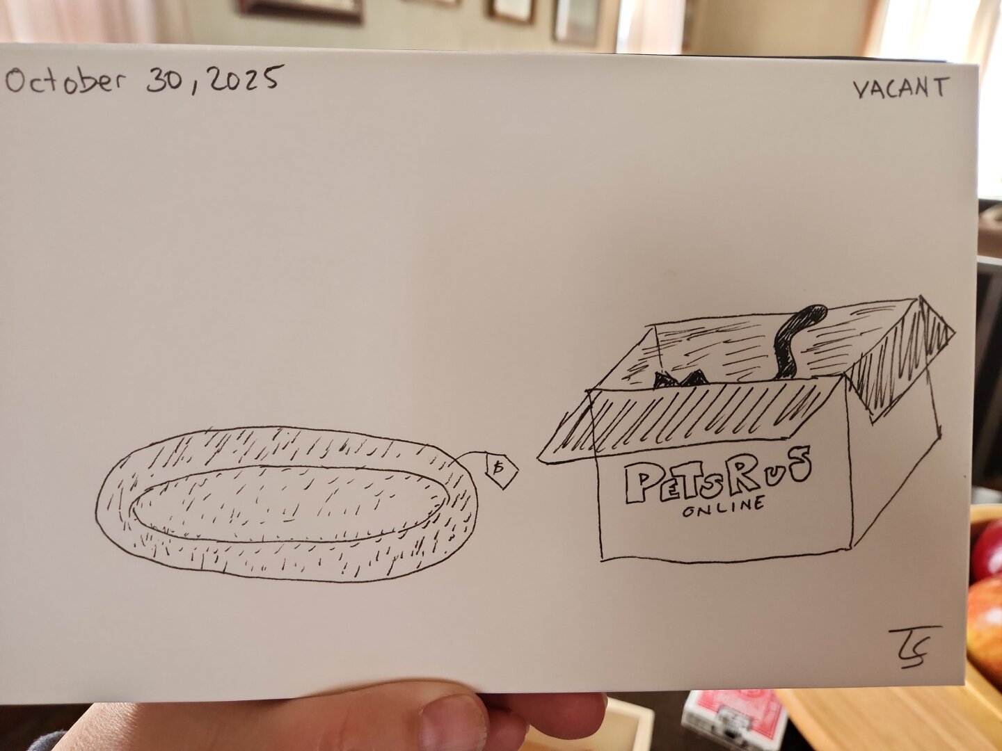 Pen sketch of a brand new cat bed (with price tag still attached) beside the cardboard box it came in (from PetsRUs). No cat is sitting on the new bed, but a pair of black ears & a tail can be seen in the box.