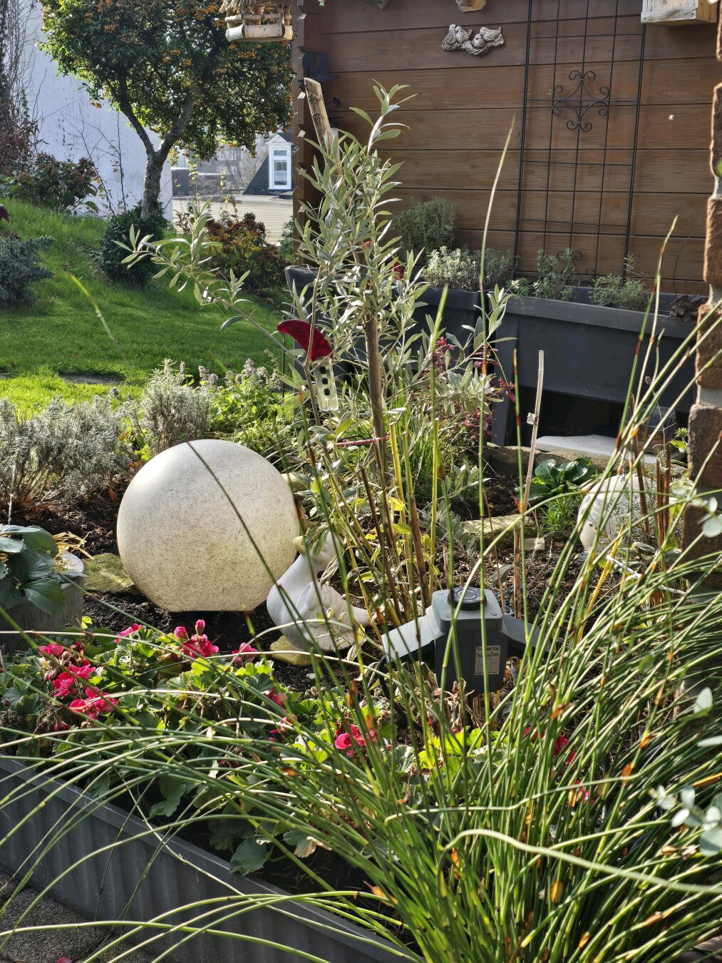 Ein gepflegtes, sonniges Gartenbeet mit verschiedenen Zier- und Blühpflanzen, darunter pinkfarbene Blumen im Vordergrund. In der Mitte steht eine große, runde, helle Steinkugel als Dekoelement. Rechts daneben befindet sich eine kleine weiße Gartenfigur. Hohe, schmale Gräser rahmen den Vordergrund ein. Im Hintergrund stehen ein Holzgartenhaus mit Rankgitter und ein leicht abfallender grüner Rasen mit Bäumen und Sträuchern.